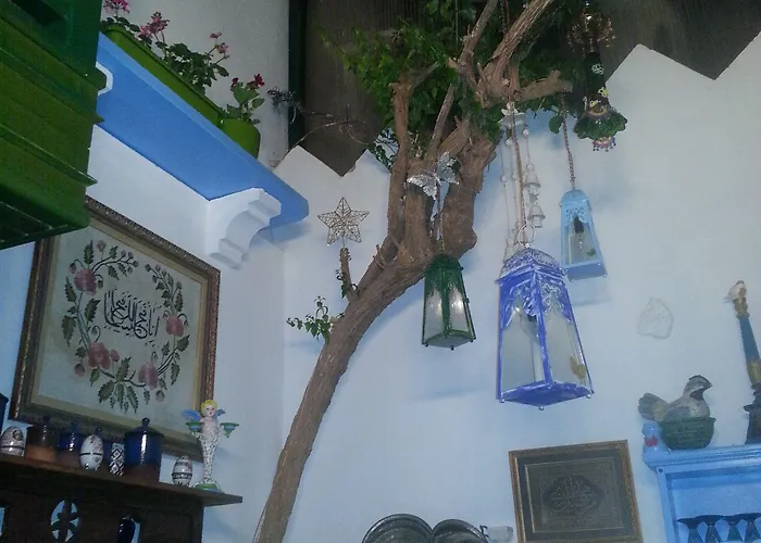 Cemil Ipekci Αλικαρνασσός