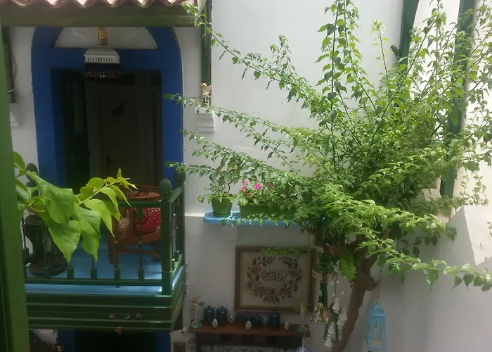 Cemil Ipekci Αλικαρνασσός