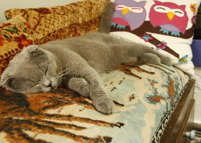 Privatunterkunft Cemil Ipekci