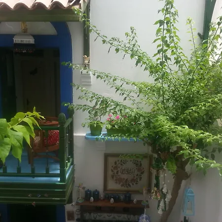 Cemil Ipekci בודרום