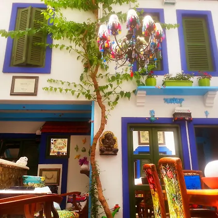 Cemil Ipekci בודרום