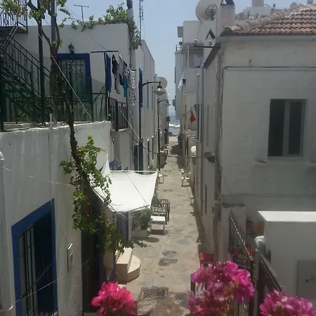 Cemil Ipekci בית אירוח