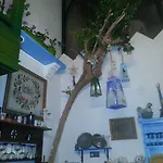 Cemil Ipekci בודרום
