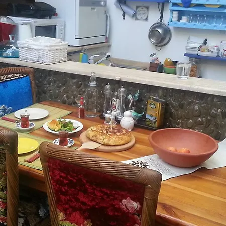 ホームステイ Cemil Ipekci *